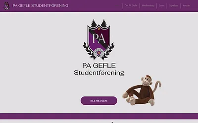 pageflestudentforening.com snapshot
