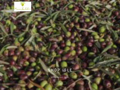 therambaldi.com snapshot