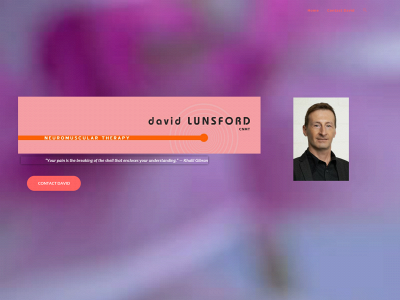 davidlunsfordtherapies.com snapshot