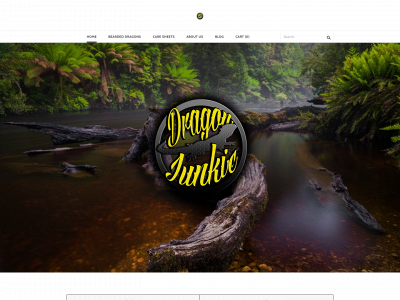 www.dragonjunkieinc.com snapshot