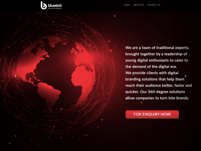 bluetick.co.in snapshot