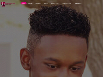 tig.enh.mybluehost.me snapshot