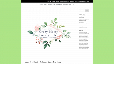 crazymessylovelylife.com snapshot