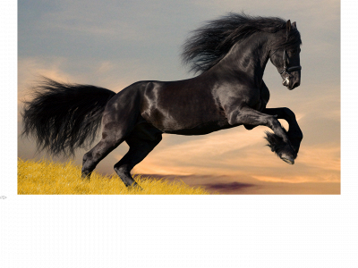 eminent-horseproducts.com snapshot