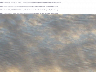nettlereef.com snapshot