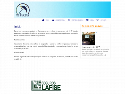 misegurohn.com snapshot