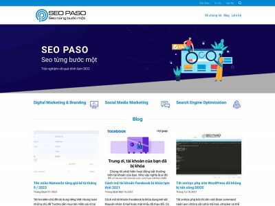 seopaso.com snapshot