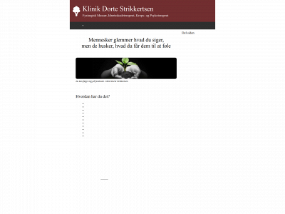 klinikdortestrikkertsen.dk snapshot