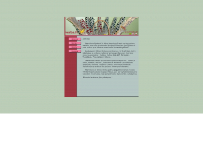 verba.lt snapshot