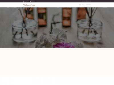 wellnessinabox.dk snapshot