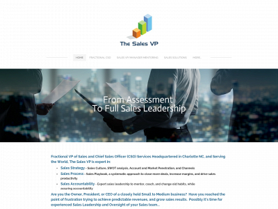 www.thesalesvp.com snapshot