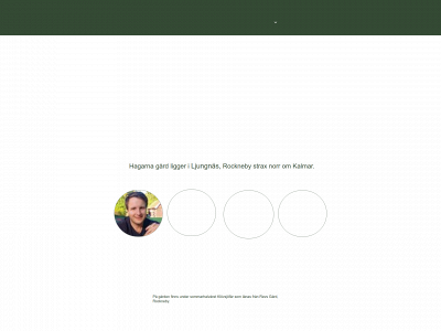 hagarna.se snapshot