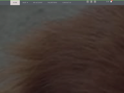 petprouk.co.uk snapshot