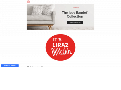itslirazbiiitchhstore.weebly.com snapshot