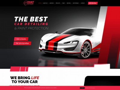 paintprotectionfactory.com snapshot