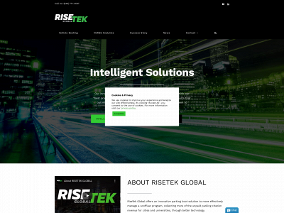 risetekglobal.com snapshot