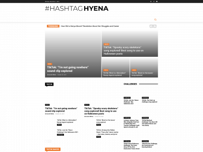 hashtaghyena.com snapshot