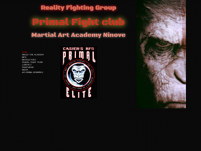 realityfighting.be snapshot
