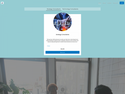 insmllc.com snapshot