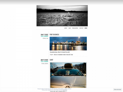 beautifulgrain.com snapshot