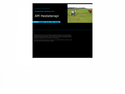 amhesteterapi.no snapshot