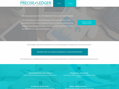preciseledgerbookkeeping.com snapshot