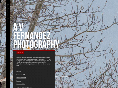 avfphoto.com snapshot