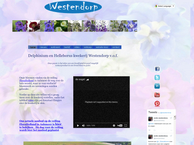westendorpdelphinium.nl snapshot