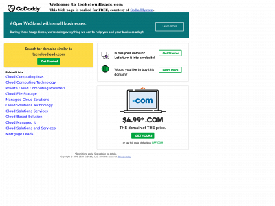 techcloudleads.com snapshot