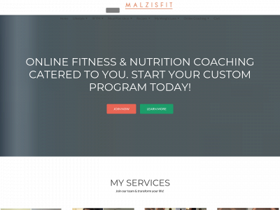 malzisfit.com snapshot