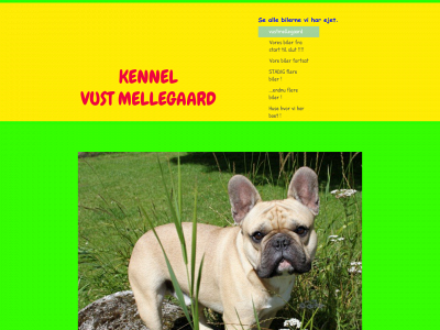 vustmellegaard.dk snapshot