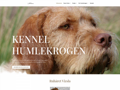vizslaruhaaret.dk snapshot