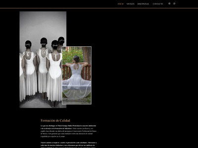 murciatempoballetprofesional.com snapshot