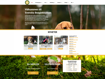 svenskabeagleklubben.com snapshot