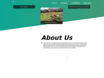 turtlehillfarms.net snapshot