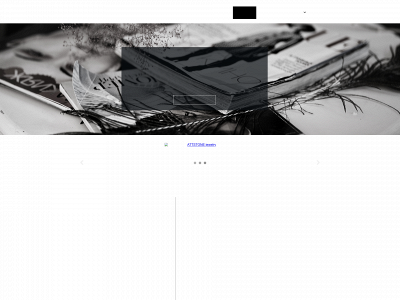 no1agency.dk snapshot