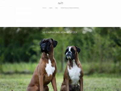boxervombreidertwaeldchen.de snapshot