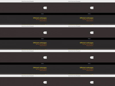 richardverroen.shop snapshot