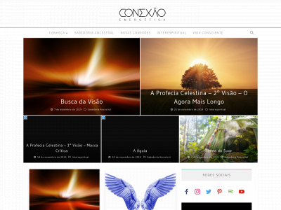 conexaoenergetica.com.br snapshot
