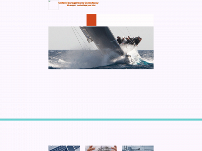 coltech-mgt.com snapshot