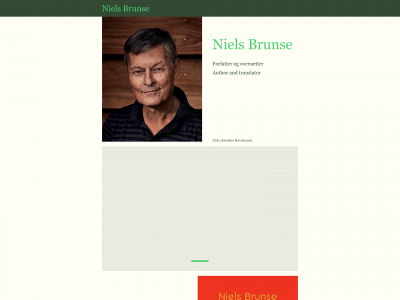 nielsbrunse.dk snapshot