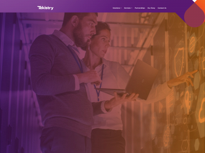 tekistry.com snapshot