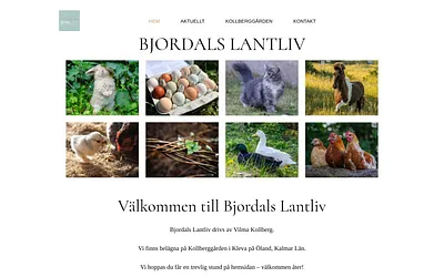 bjordalslantliv.se snapshot