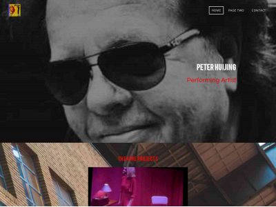 www.peterhuijing.nl snapshot