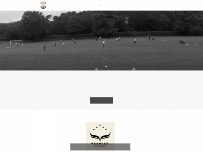 mefcoaching.co.uk snapshot