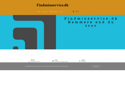 findminservice.dk snapshot