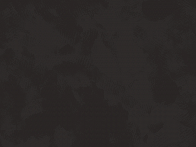 skovdelinedancers.se snapshot