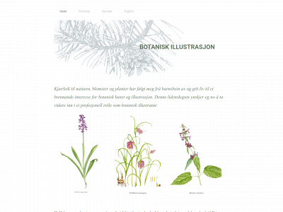 botaniskillustrasjon.no snapshot