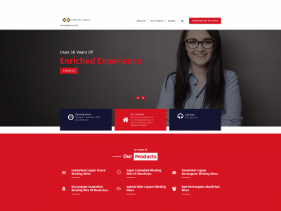 cablesalesagency.com snapshot