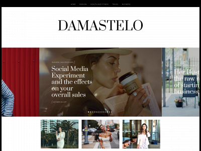 damastelo.com snapshot